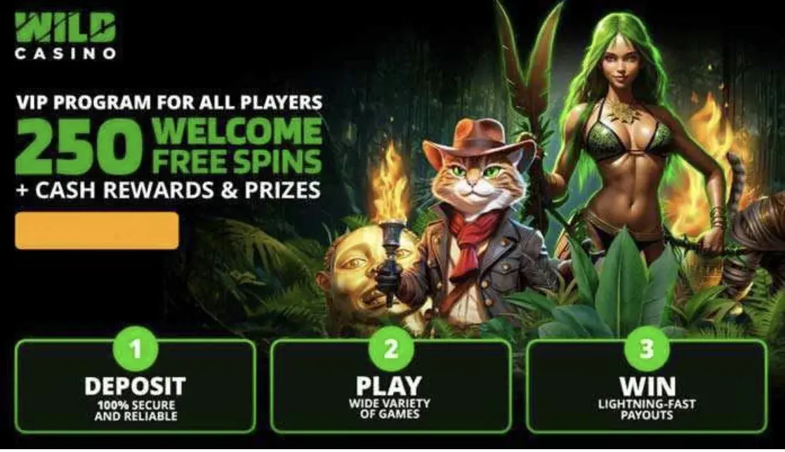 Wild Casino Képernyőkép 2